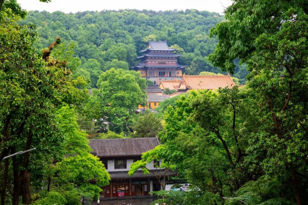 旅行花钱的真相:贵的不一定值,便宜的未必省心