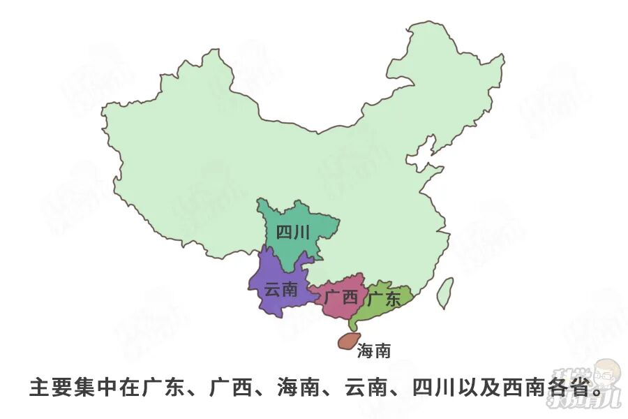 发病快、易重症！这个儿科病“重男轻女”！一粒蚕豆就让娃进ICU