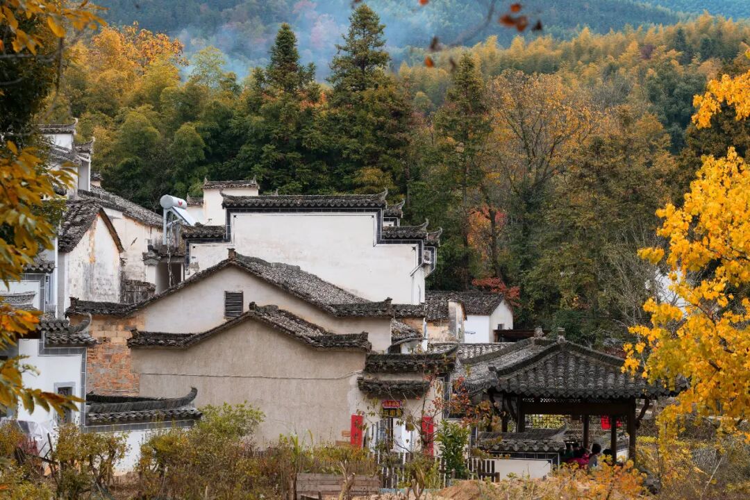 快收好！11月赏秋最值得去的地方，随便挑一个就出发，绝对不白去