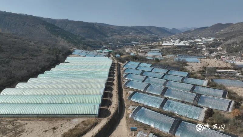 全国数字乡村现场会，为何开到陕北县城？