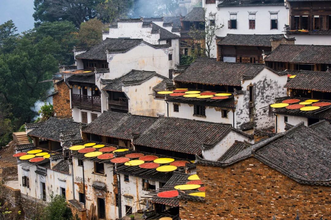 快收好！11月赏秋最值得去的地方，随便挑一个就出发，绝对不白去