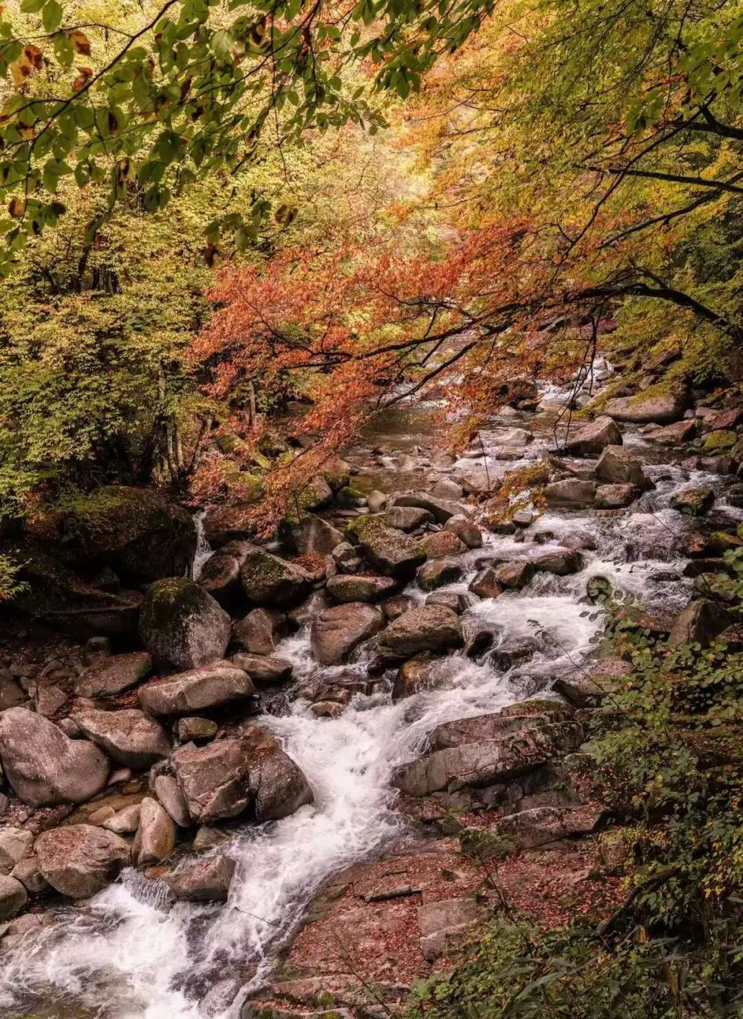 巴中光雾山,可以冲了