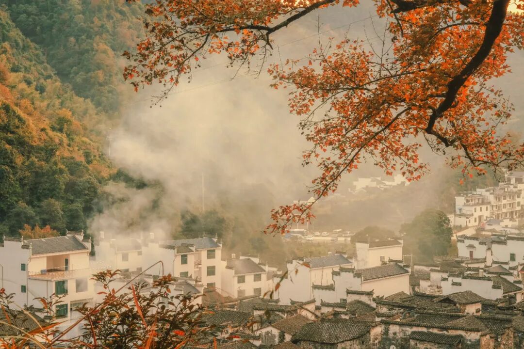 快收好！11月赏秋最值得去的地方，随便挑一个就出发，绝对不白去