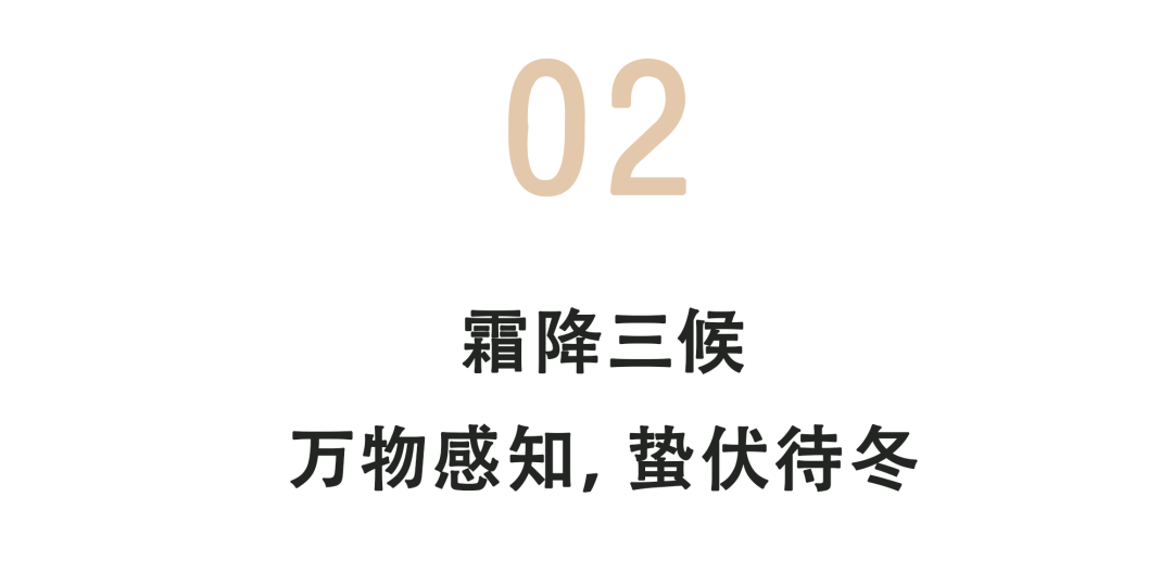 寻根·长城 | 丙午霜降