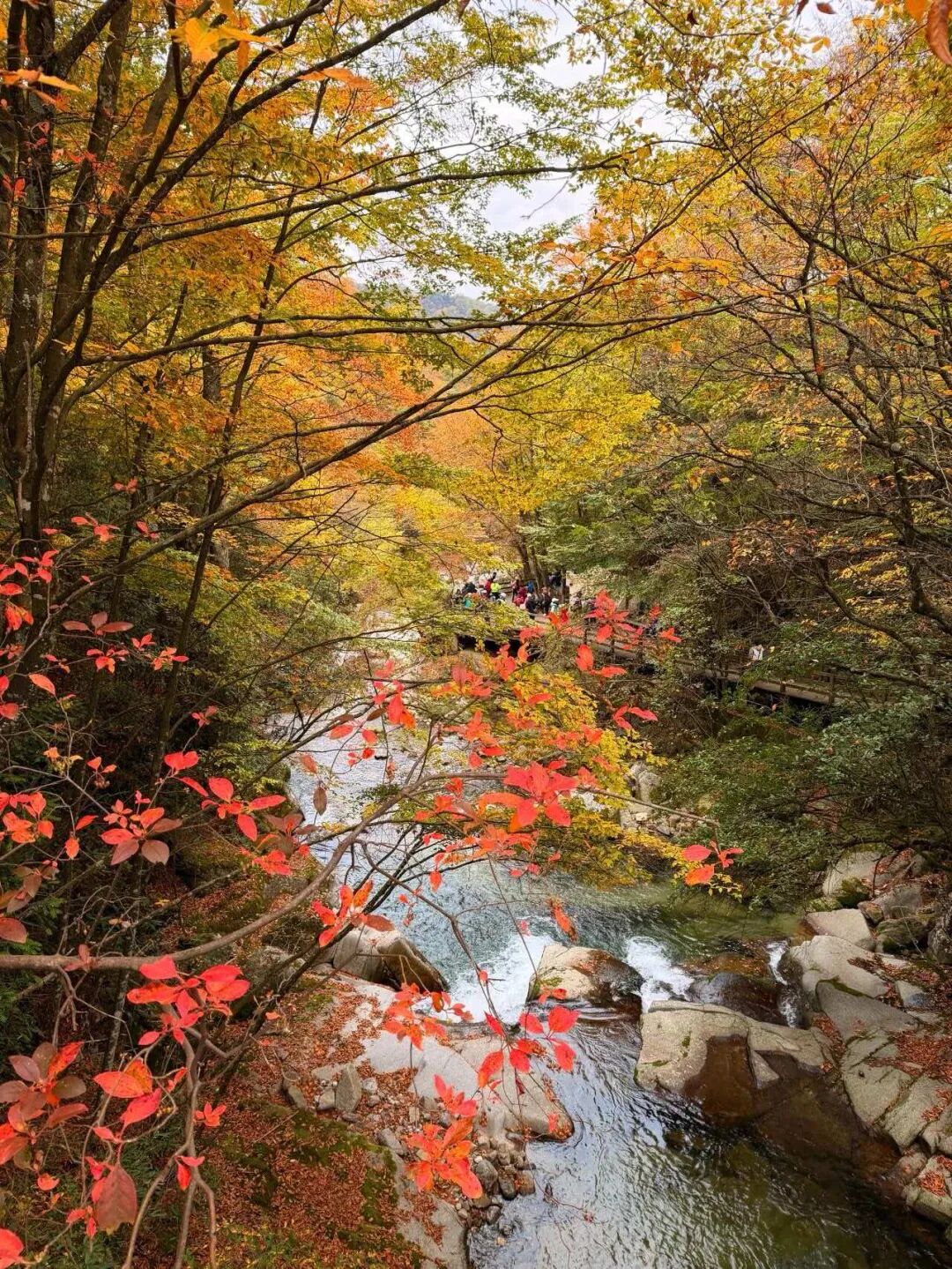 巴中光雾山,可以冲了