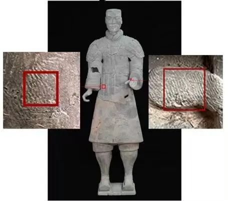 秦始皇兵马俑上发现成年女性指纹和15岁以下少年指纹，学界首次以量化的生物学证据表明，除成年男性外，女性与少年可能也参与了秦俑制作