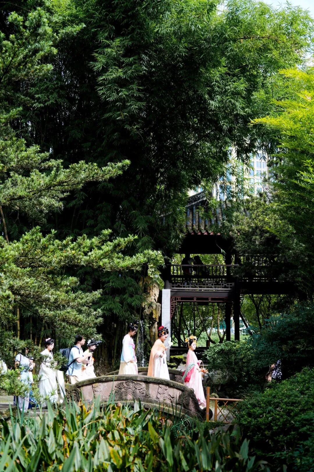 老牌公园联动，望江楼公园上新秋菊