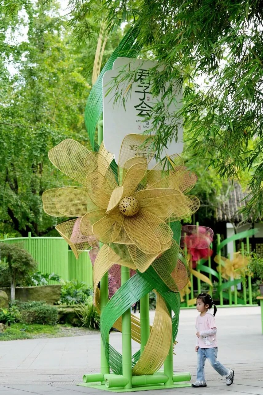 老牌公园联动，望江楼公园上新秋菊