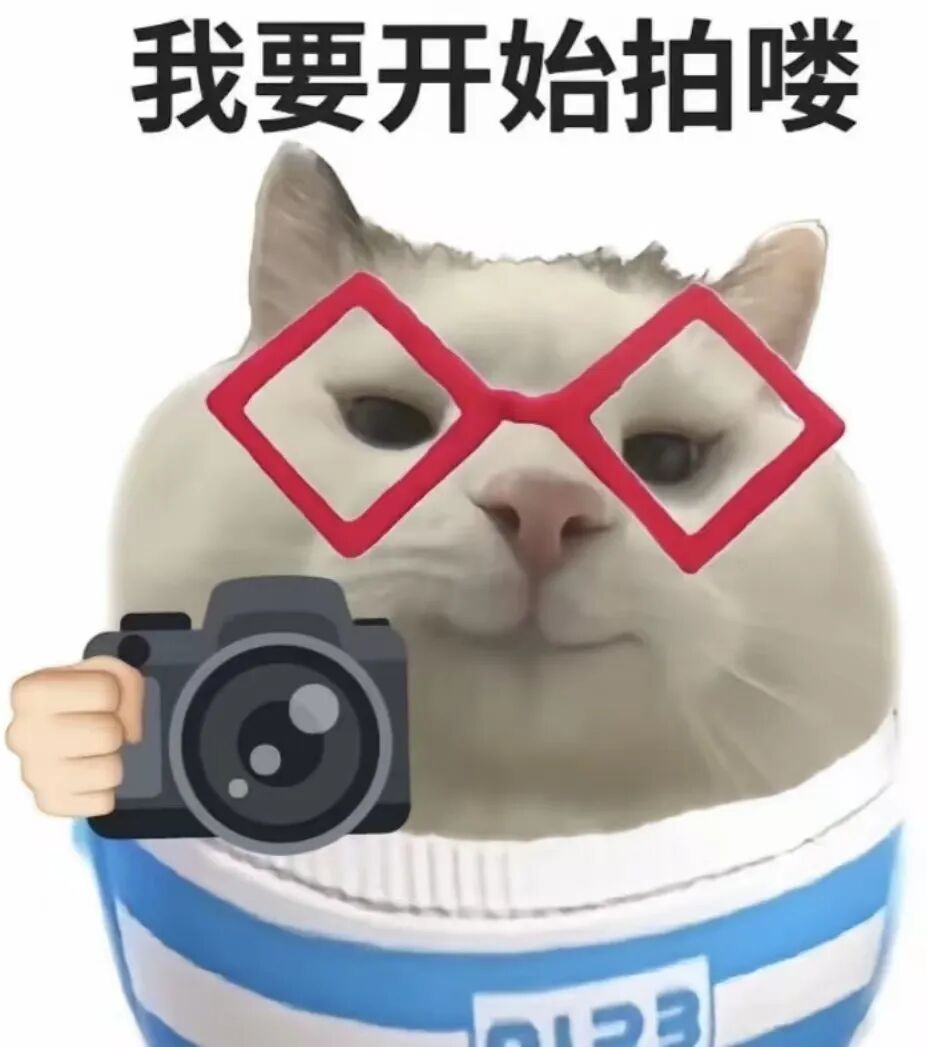 “不愧是花城！广州的花海根本拍不完”