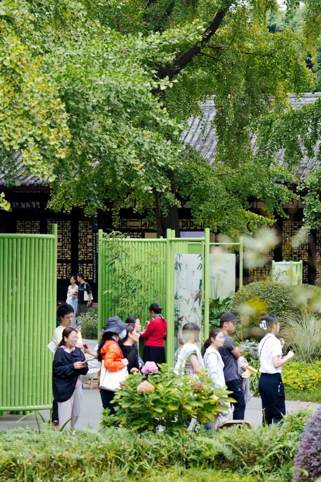 老牌公园联动，望江楼公园上新秋菊
