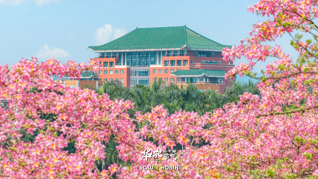 “不愧是花城！广州的花海根本拍不完”