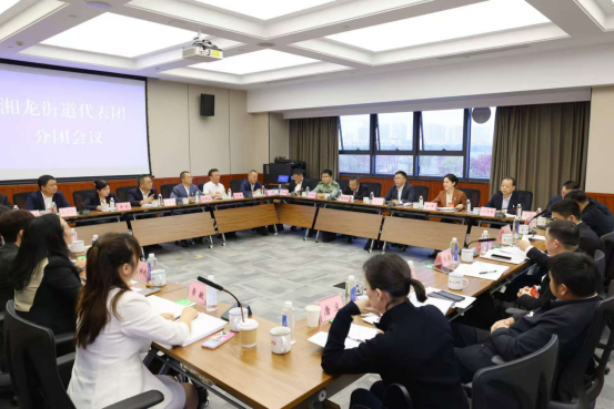 郑以仁参加开慧镇、湘龙街道代表团审议