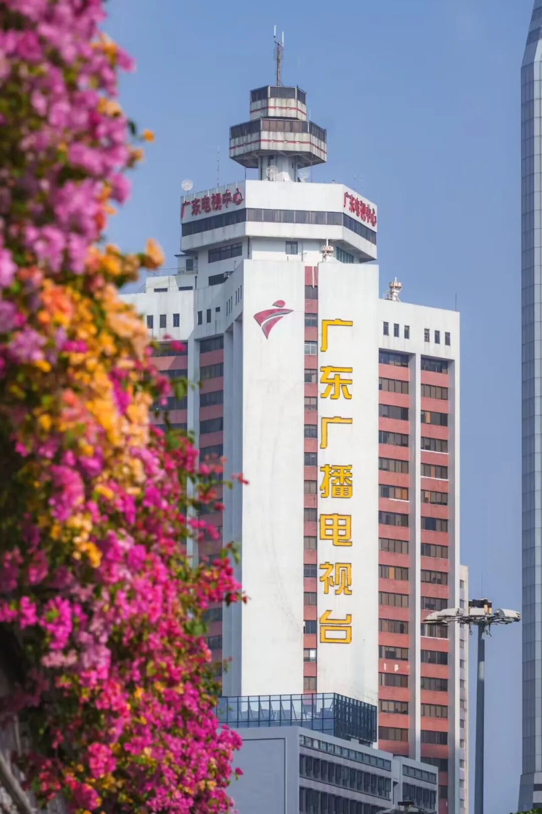 “不愧是花城！广州的花海根本拍不完”