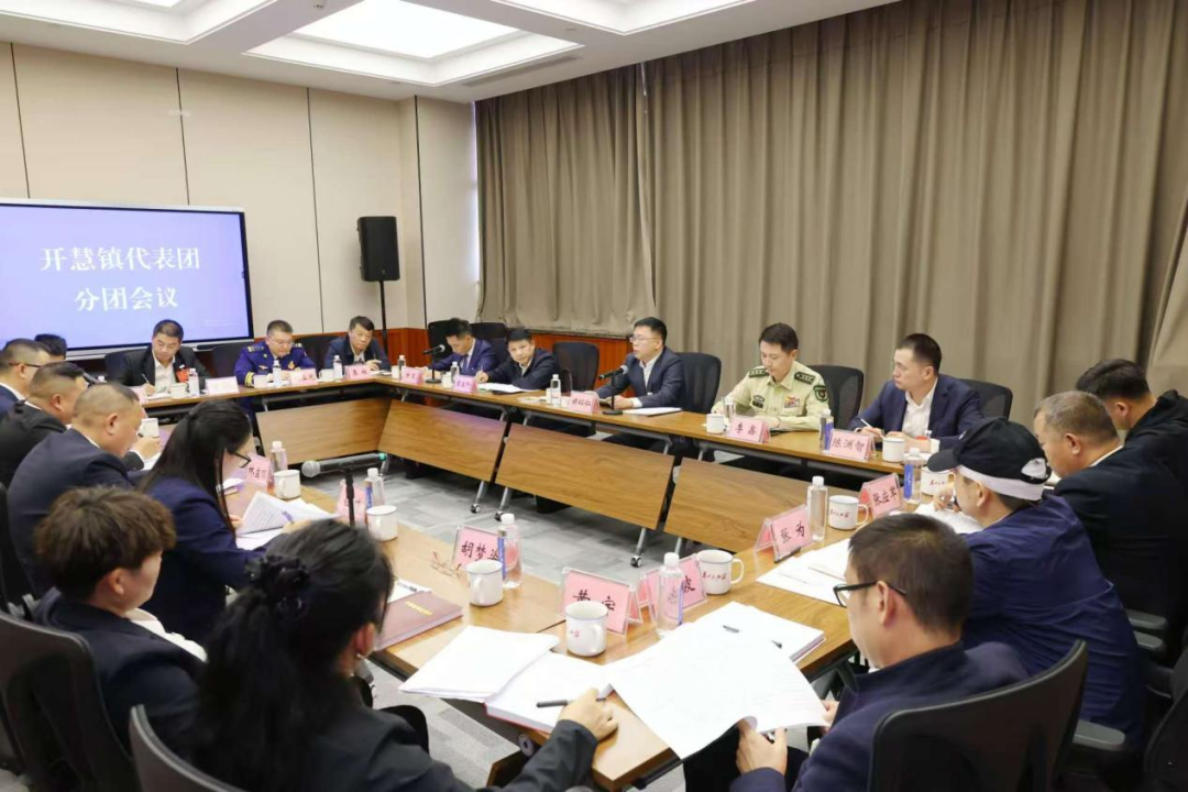 郑以仁参加开慧镇、湘龙街道代表团审议