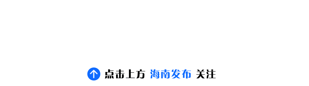 “全网最努力三角梅”攀上路灯、登上央视！