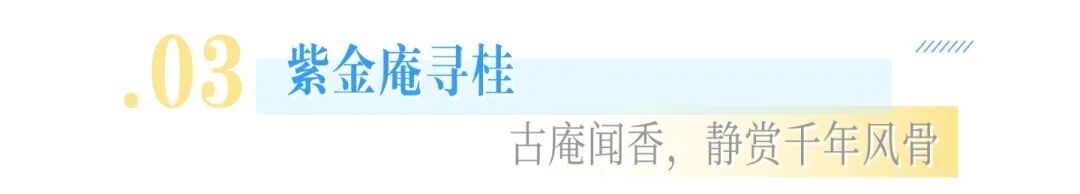 湖山寻桂，古院食光
