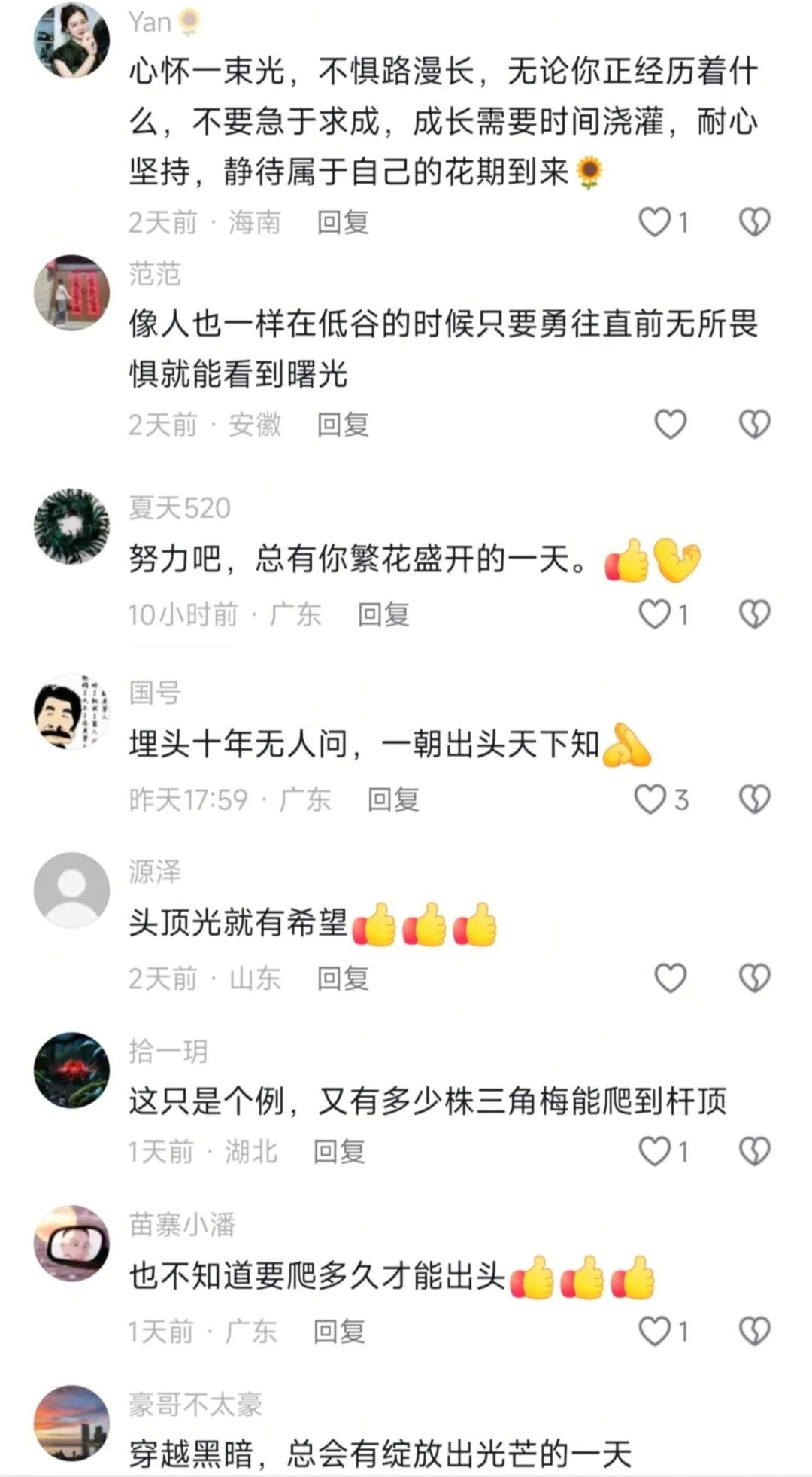 “全网最努力三角梅”攀上路灯、登上央视！