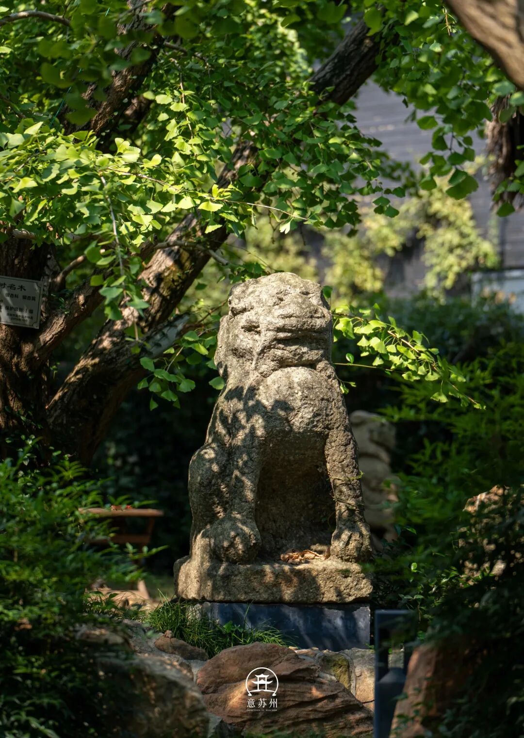 湖山寻桂，古院食光