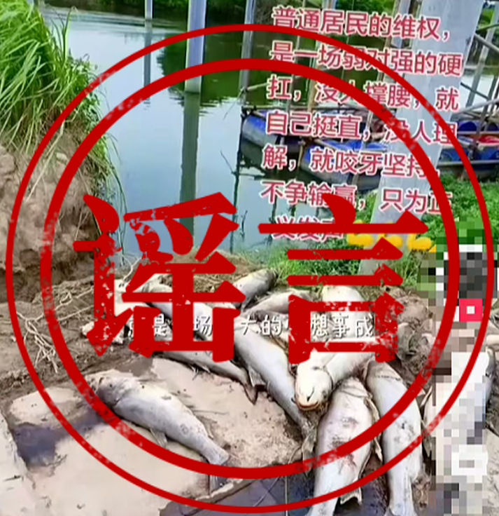 造谣传谣！芜湖5人被处罚