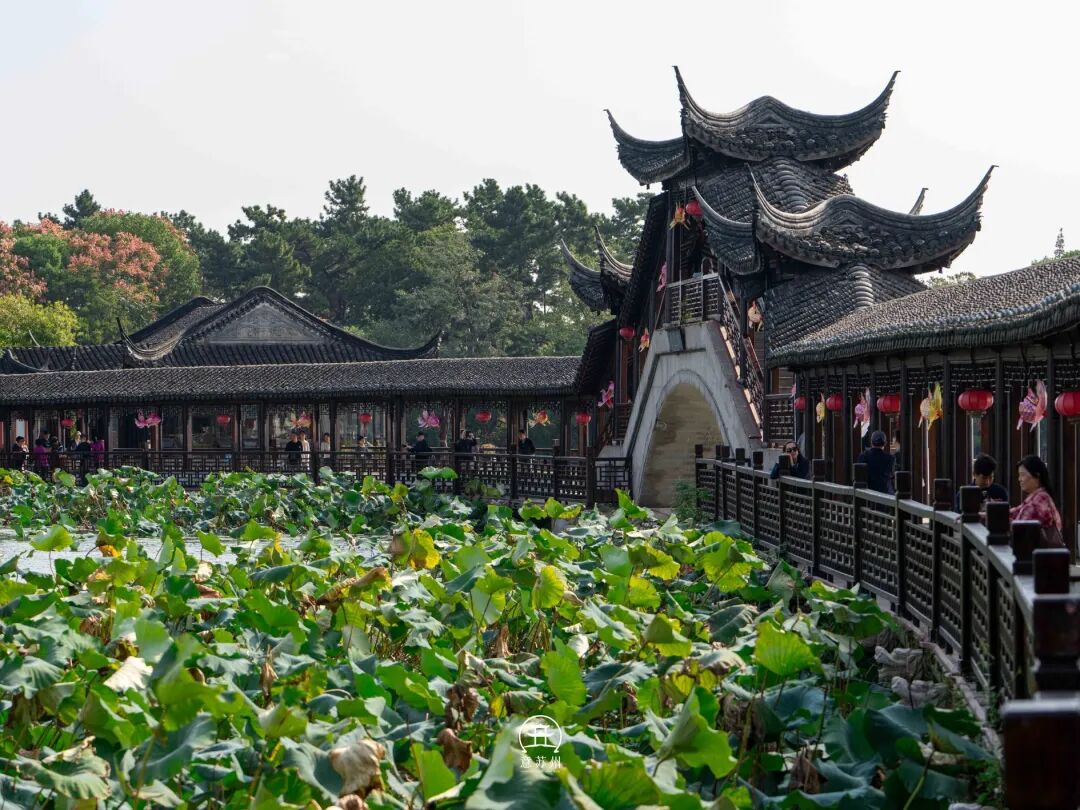 从苏州驱车一小时去锦溪，值得吗？