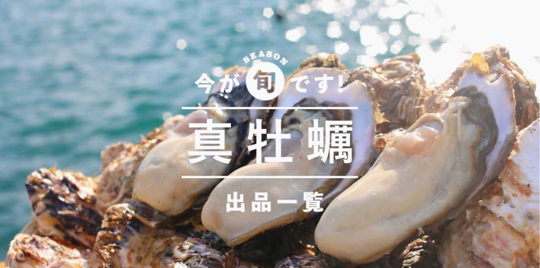 无心恋爱一心长肉,这样的生蚝懂事得让人流口水