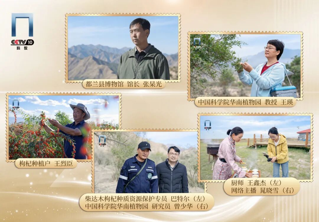 极致风物之旅即将启幕，邀您共赴柴达木之约