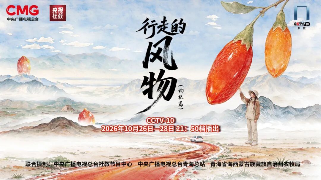 极致风物之旅即将启幕，邀您共赴柴达木之约