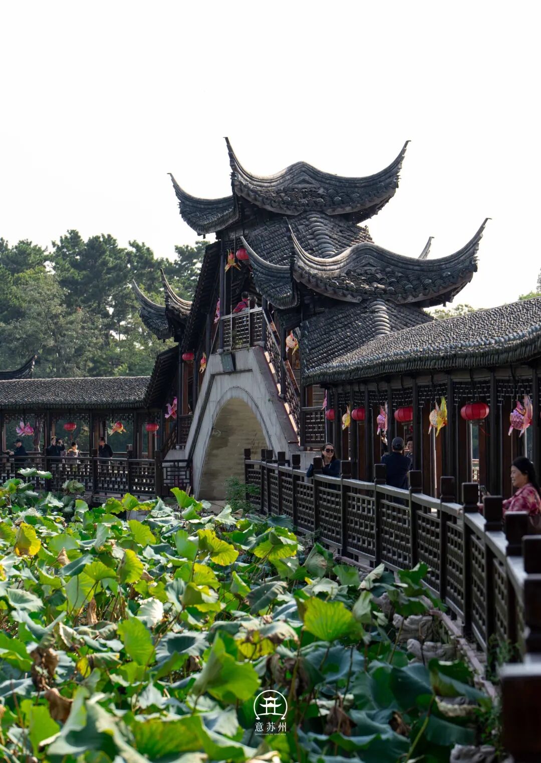 从苏州驱车一小时去锦溪，值得吗？