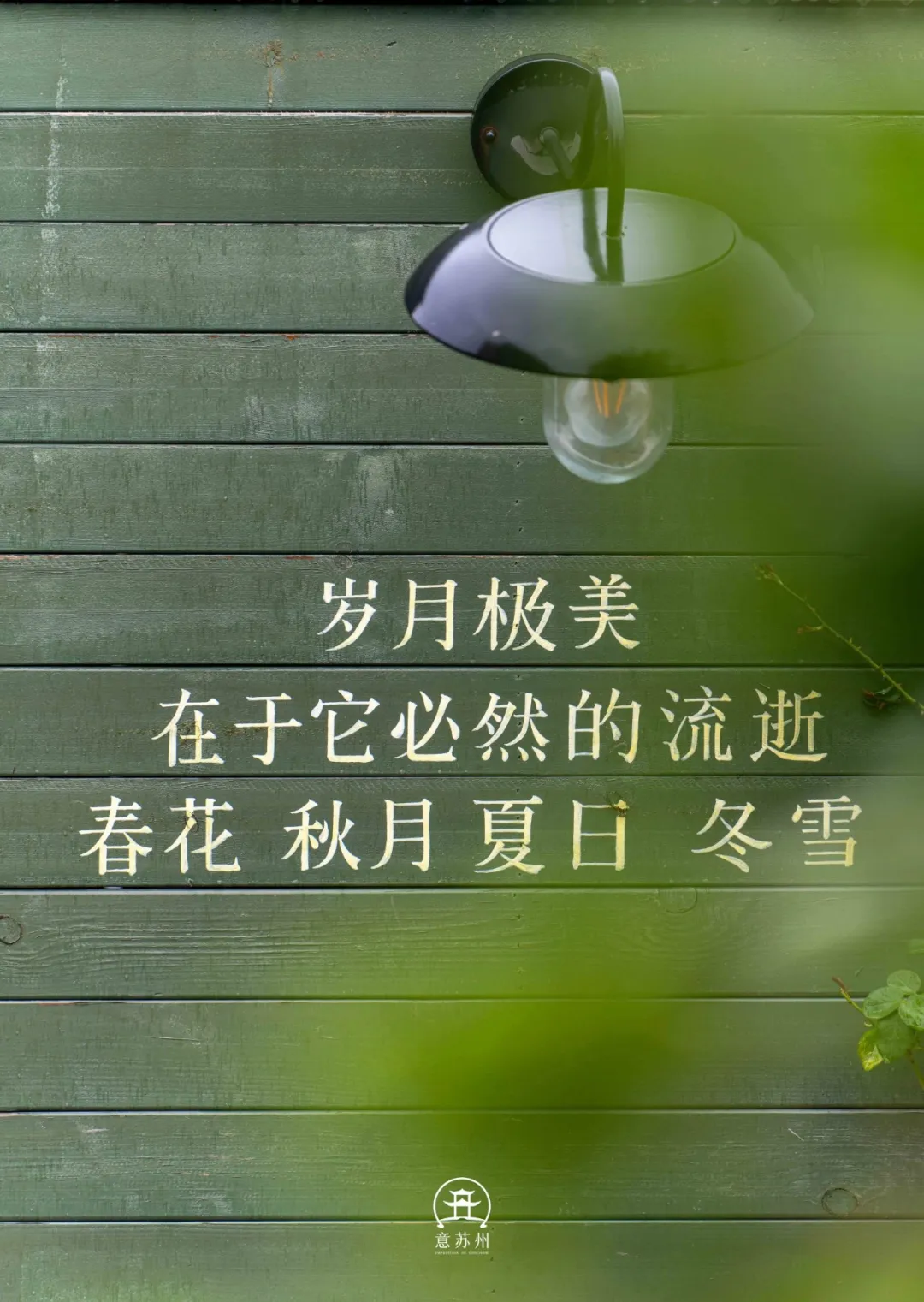 此刻姑苏｜心田里书店，读懂时光的浪漫