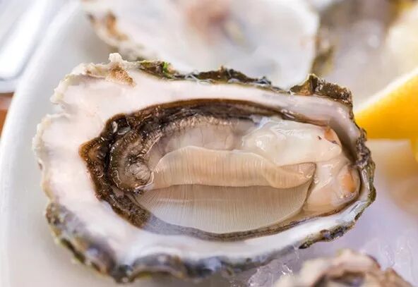 无心恋爱一心长肉,这样的生蚝懂事得让人流口水