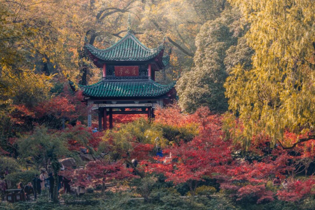 推荐长沙6个超适合赏秋的宝藏地，趁着大好时光，出发去赏秋吧！