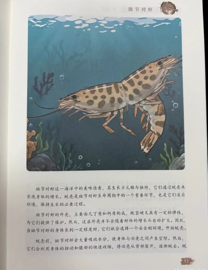 一出版社回应：正通知全网下架，召回涉事图书
