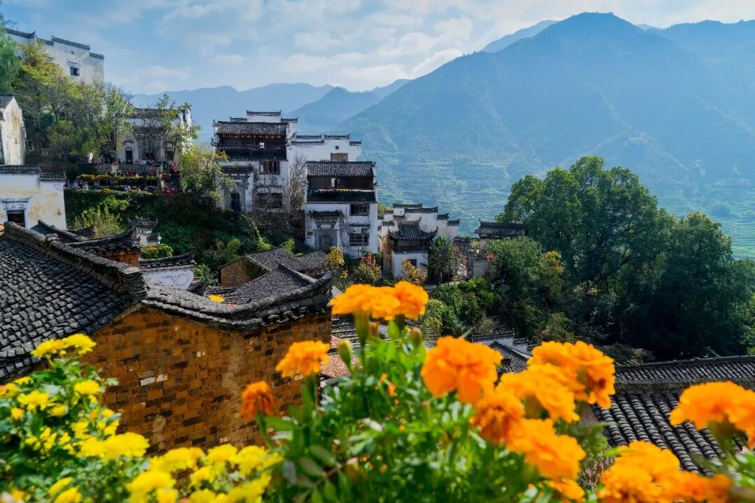 旅行被拔高太久了，是时候让它回到「玩」本身