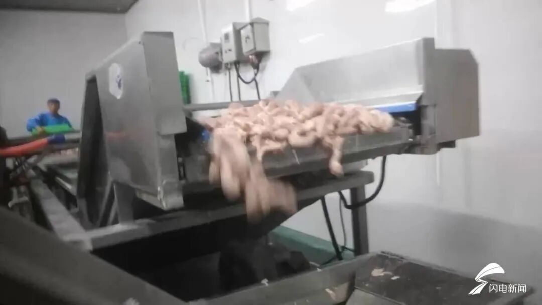 多家工厂被曝用鸡脖泥做馅料，撒尿牛丸“牛肉味纯靠牛肉膏”？厂家提醒：馅制品少吃