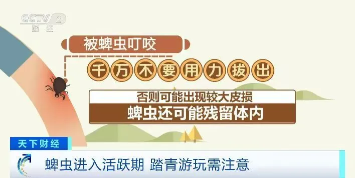 女子外出游玩被蜱虫咬伤，四肢瘫痪需靠呼吸机维持，丈夫：已花费40万元治疗