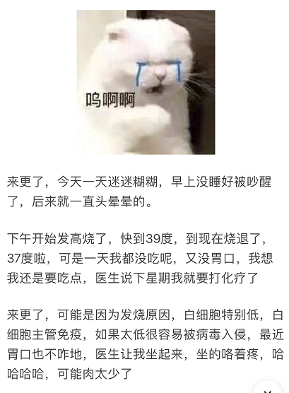 抗癌网红夏夏去世，年仅23岁；此前在网上分享抗癌经历感动网友：“既然上了生活的贼船，何不做一个快乐的海盗呢？”