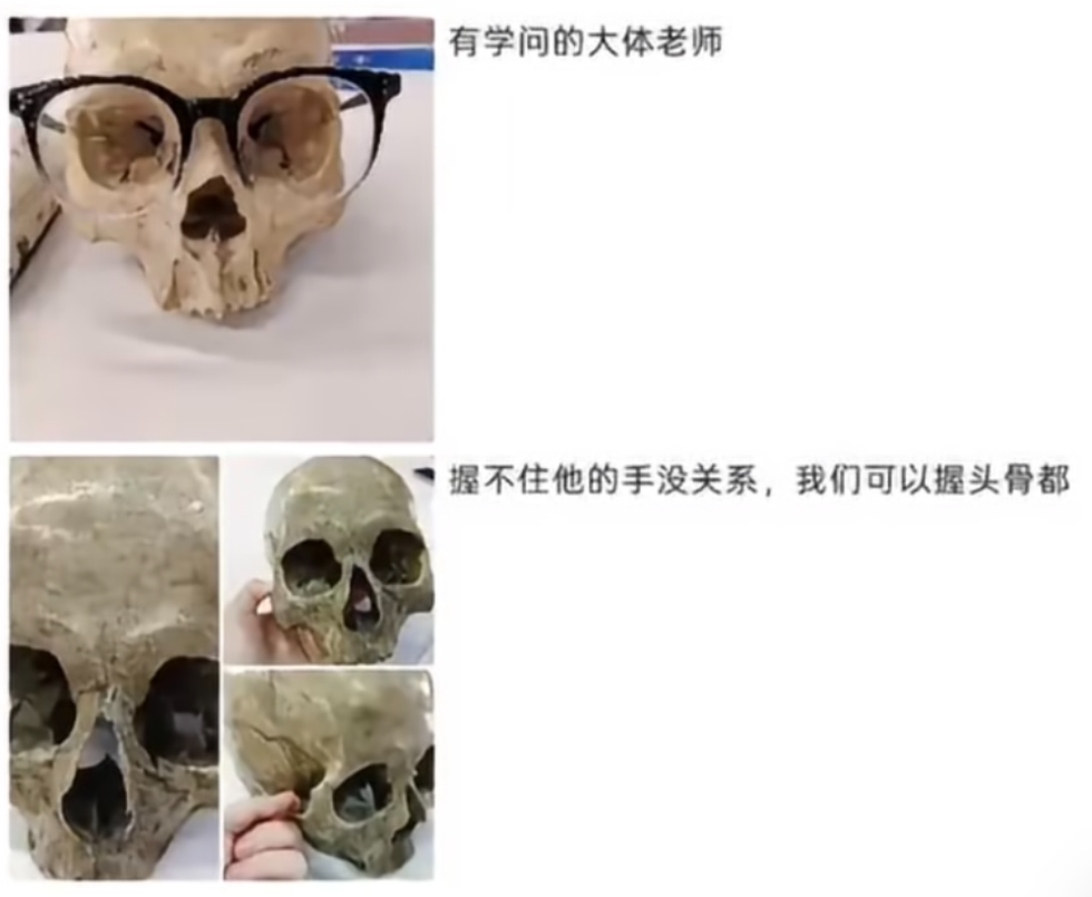 “死了骨头还要被我玩”：拿骨骼标本玩梗，医学生最该守住的敬畏去哪了？