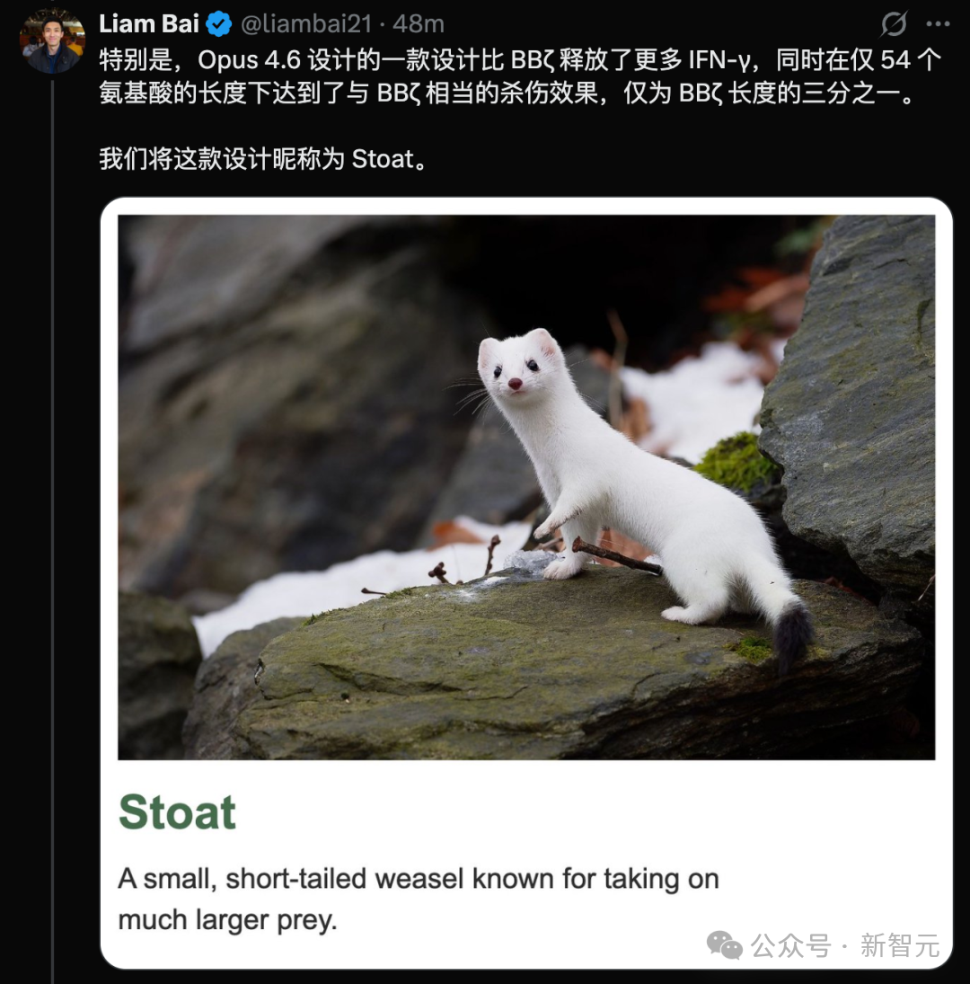 Claude向癌症发起猛攻!狂搓3.5万抗体,一人带AI造出绝症解药