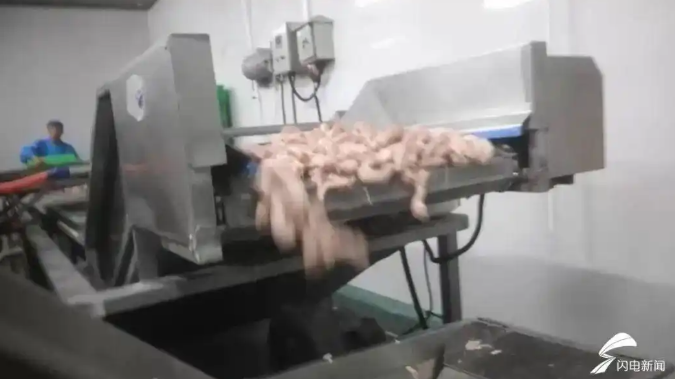 用鸡脖泥做烤肠、丸子、水饺?有厂家提醒:馅制品少吃