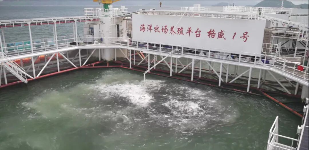 数字技术入海，中国联通助力“海上新广东”建设提速