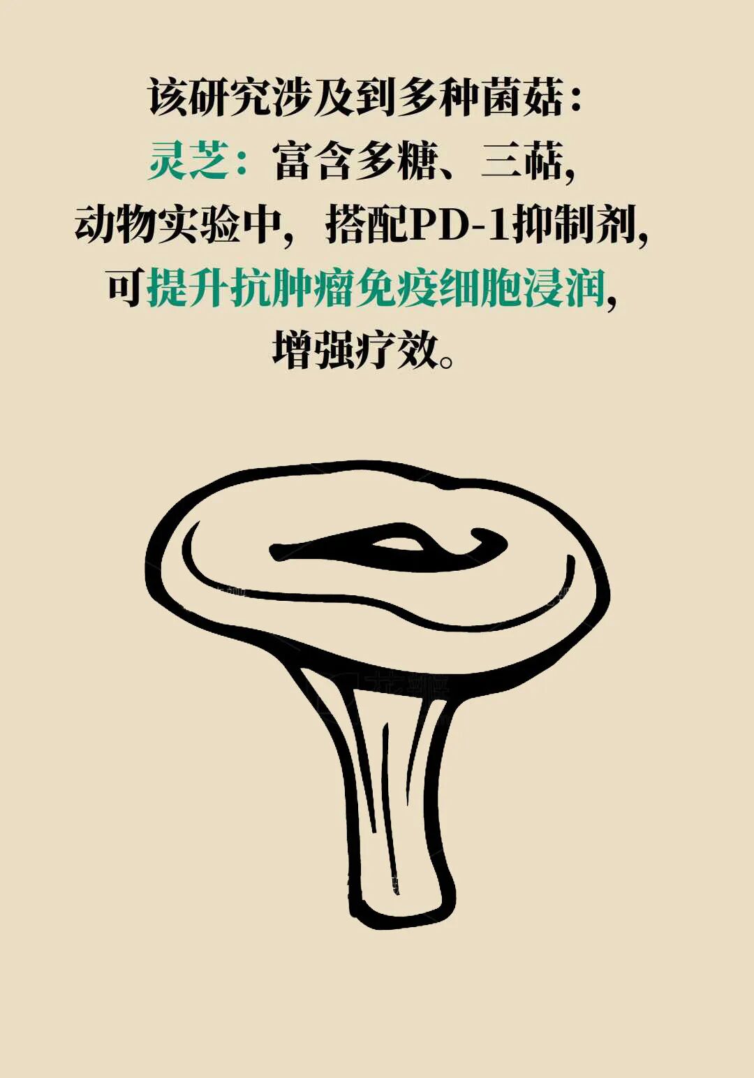 这两种家常食材能让癌细胞凋亡？很多人忽略了一个关键前提