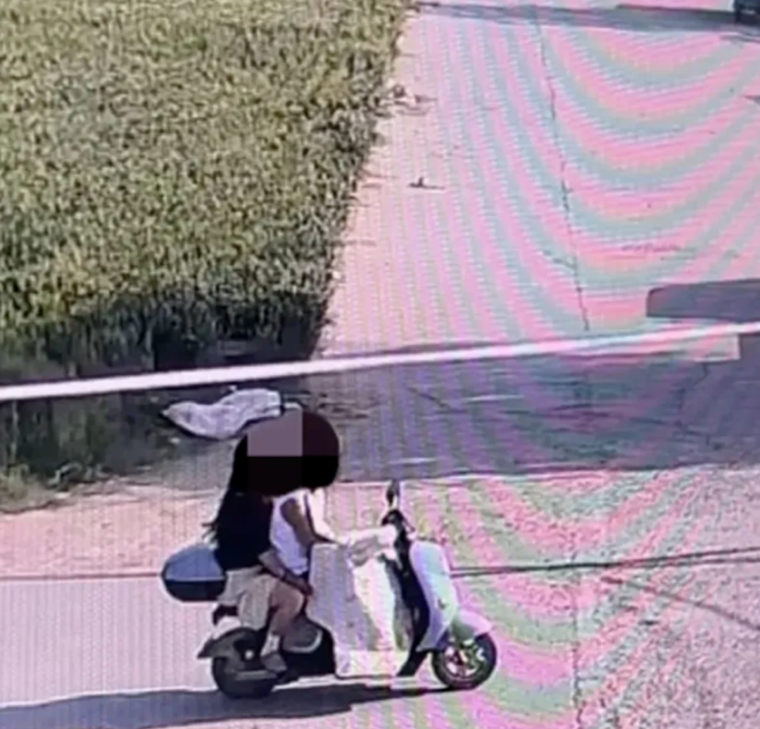 百万粉丝网红狗“锄头”被人顺走后以180元转卖并遭宰杀，主人最新回应称已收到对方30万元的和解费，将全部捐给宠物救助机构