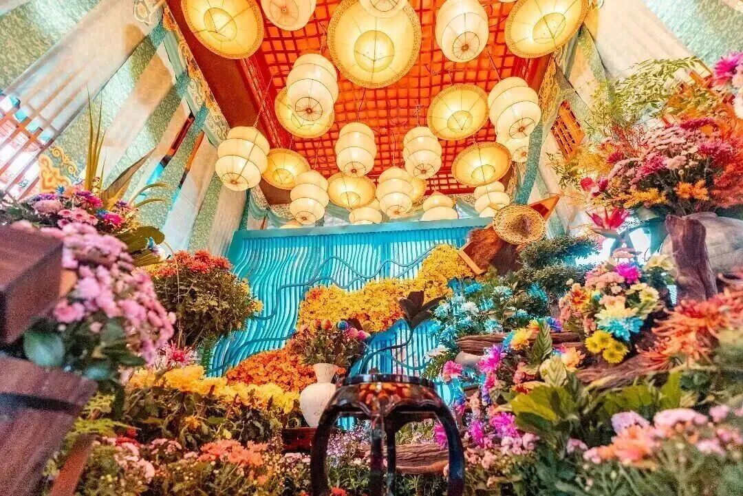 坐高铁打卡！全网刷屏的“莫奈菊花”在这里