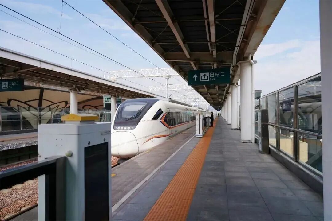 坐高铁打卡！全网刷屏的“莫奈菊花”在这里