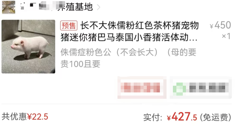 惊呆 | 女子网购的“侏儒症”宠物猪，已经长到200斤了…