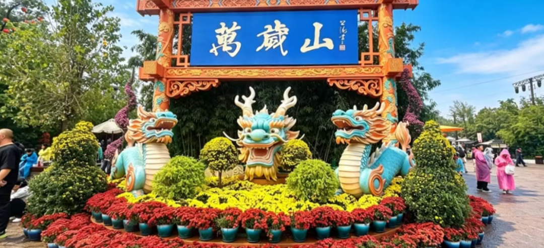 坐高铁打卡！全网刷屏的“莫奈菊花”在这里