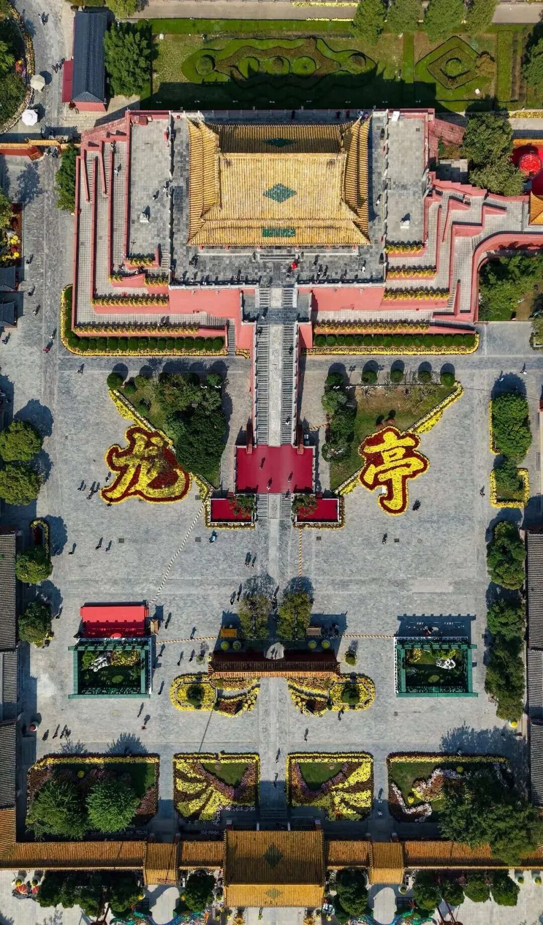 坐高铁打卡！全网刷屏的“莫奈菊花”在这里