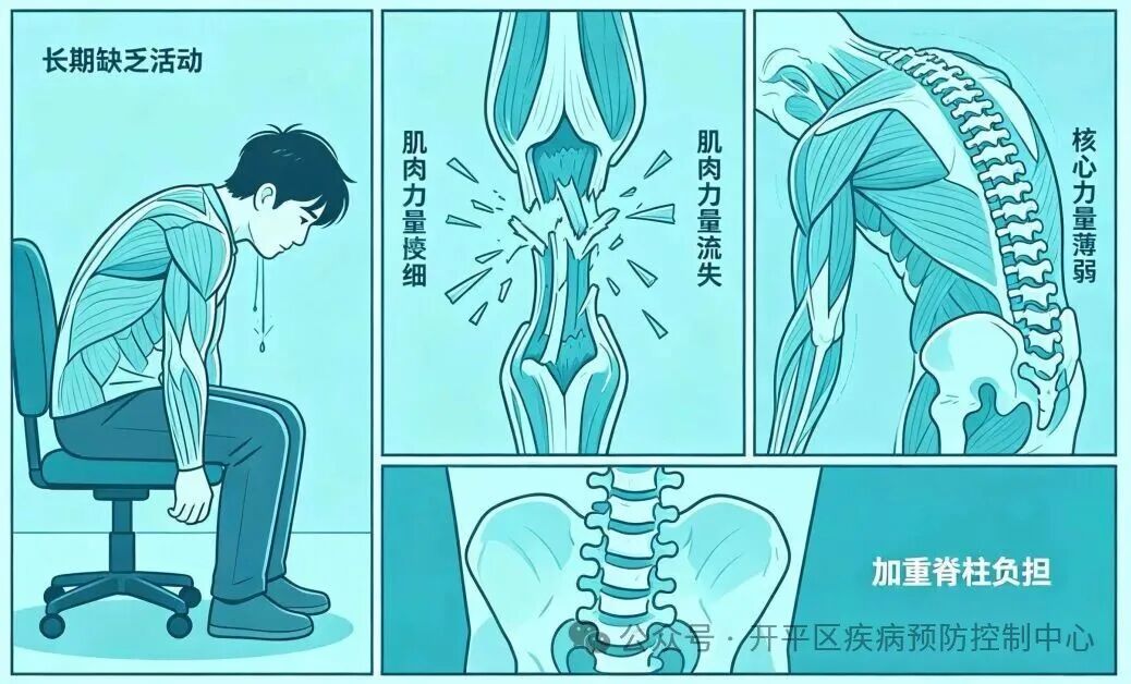 久坐正在悄悄透支你的全身，不只是腰会痛