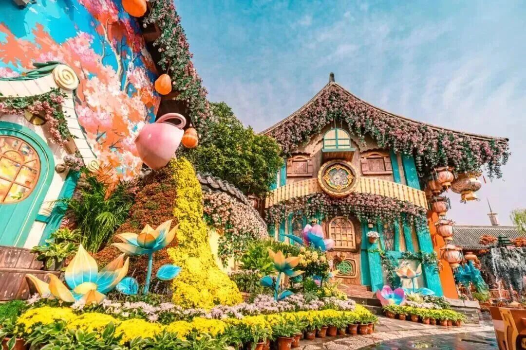 坐高铁打卡！全网刷屏的“莫奈菊花”在这里